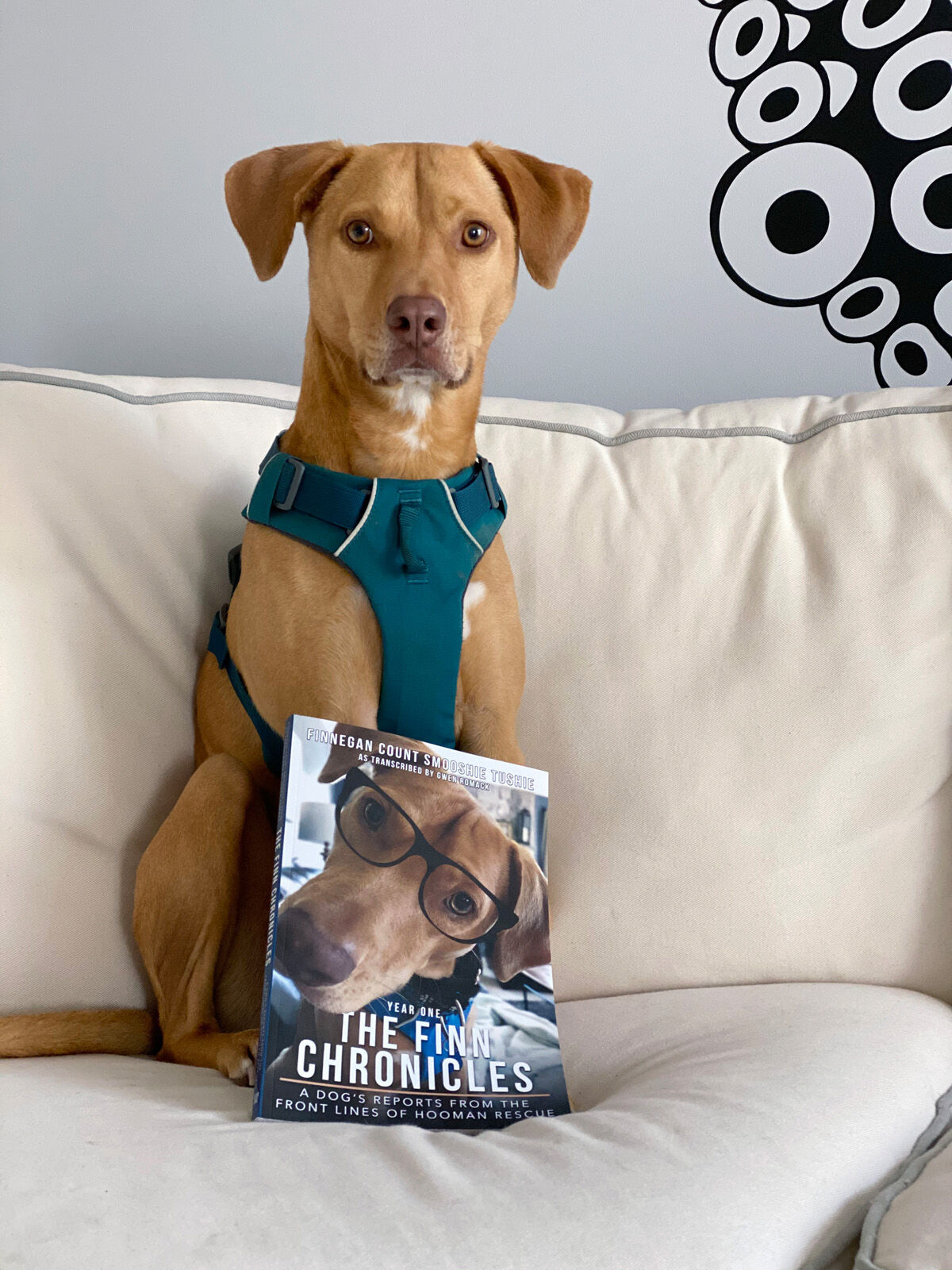 Finnegan Count Smooshie Tushie, the dog 'author'